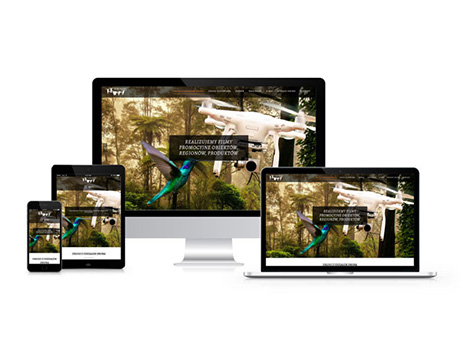 Web-Art Creative Design realizacja projektu strony www dla Drony Agromart